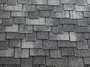 Серебристый коралл